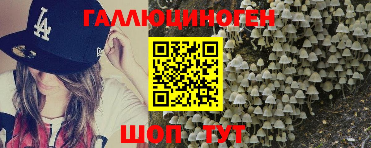 Псилоцибиновые грибы Cubensis Подольск