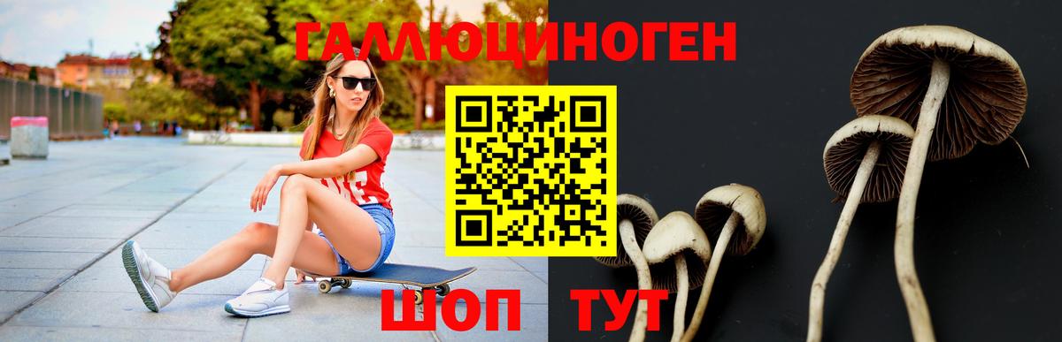 Галлюциногенные грибы Magic Shrooms  Псилоцибиновые грибы MAGIC MUSHROOMS  Подольск  Вход с VPN 