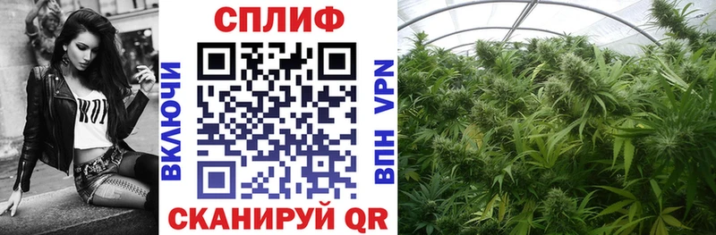 Конопля планчик Подольск
